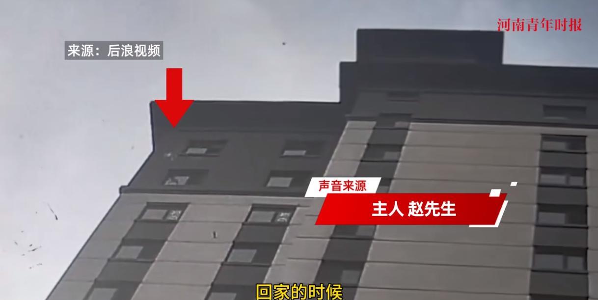 “离了个大谱！”6月15日，黑龙江黑河，一只猫咪趁主人不在家，独自爬上窗台，结果