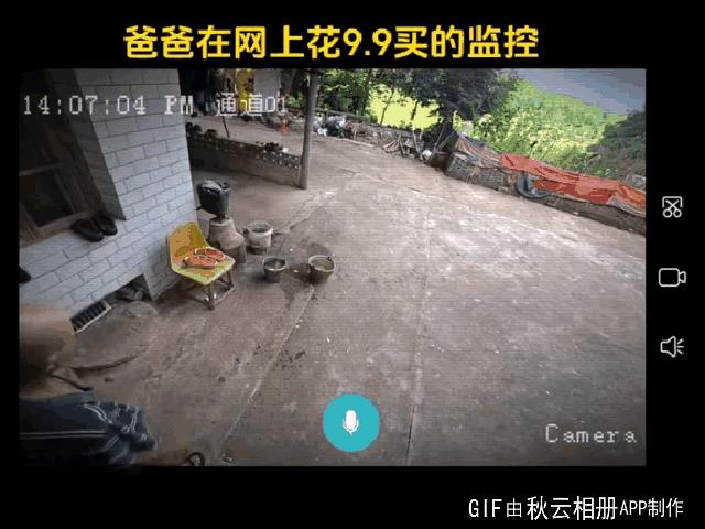 这下子冷清的家里热闹多了[捂脸]