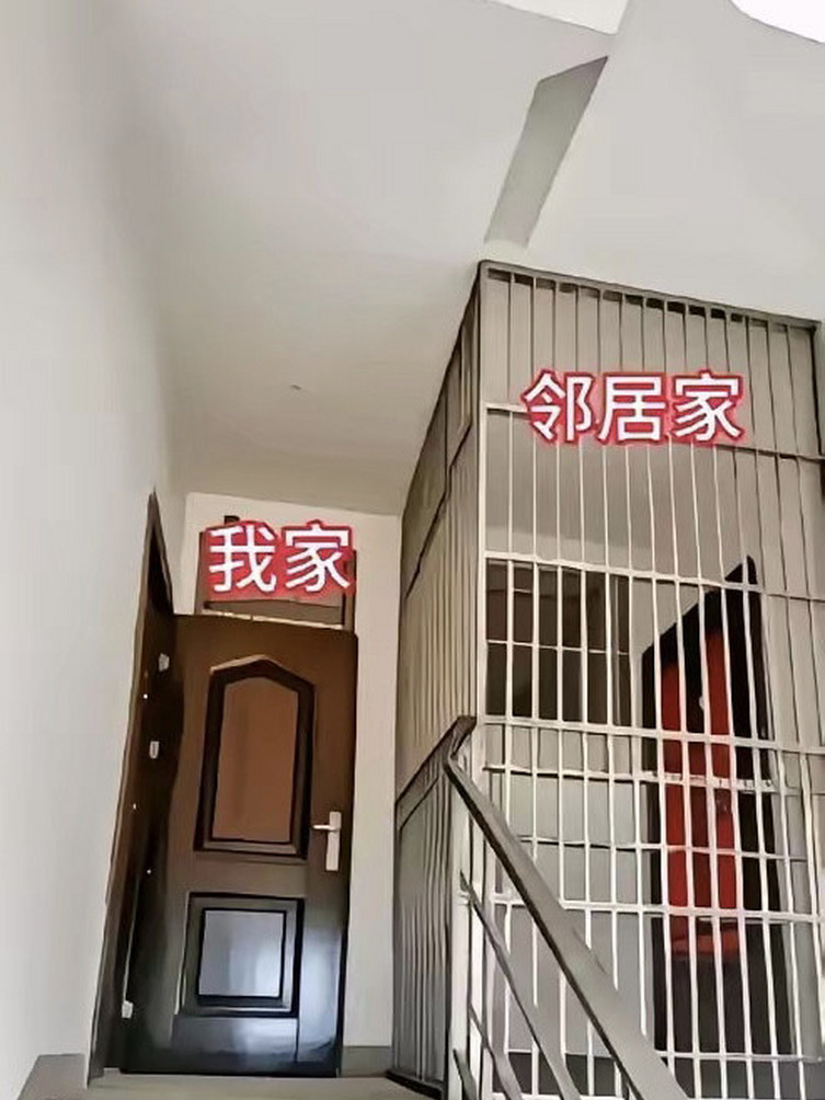 这邻居也太过分了怎么办？