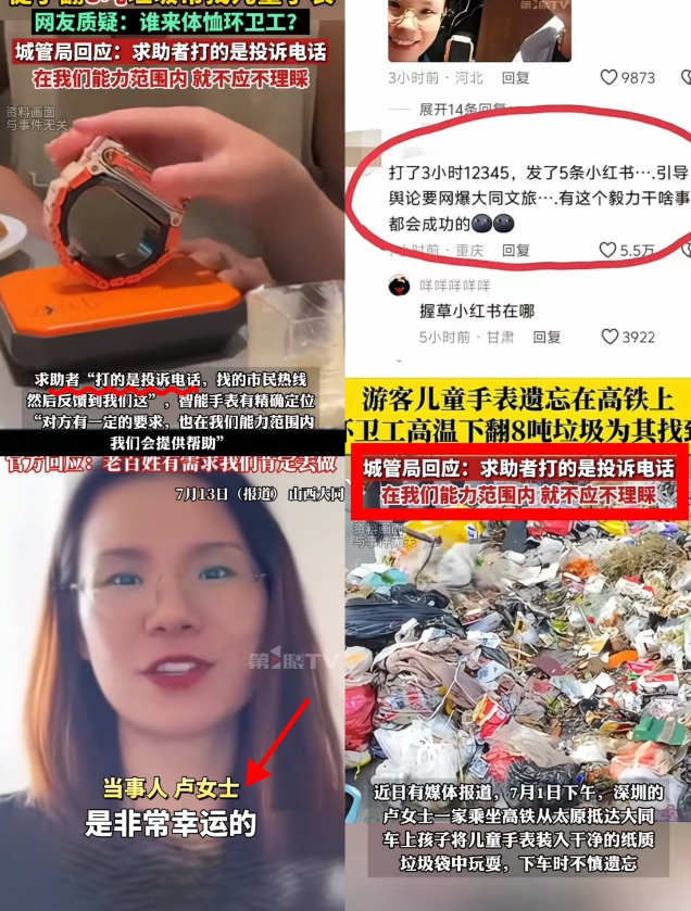 破案了，为何丢手表的卢女士能让环卫工翻8吨垃圾