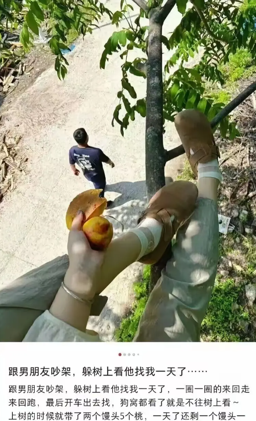 故意的，就看你能在树上呆多久