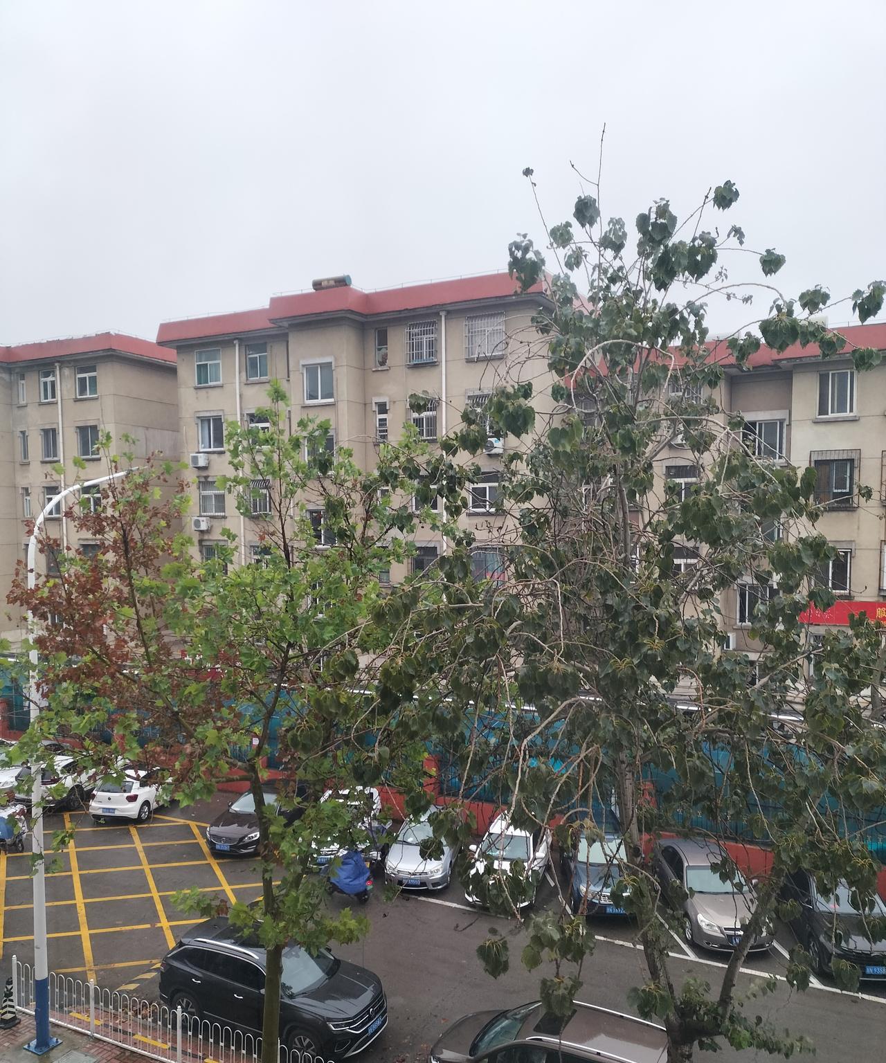 假期八天，七天下雨，降温15℃。
今天我穿羽绒服，班里孩子半袖，上课前，我搂着穿