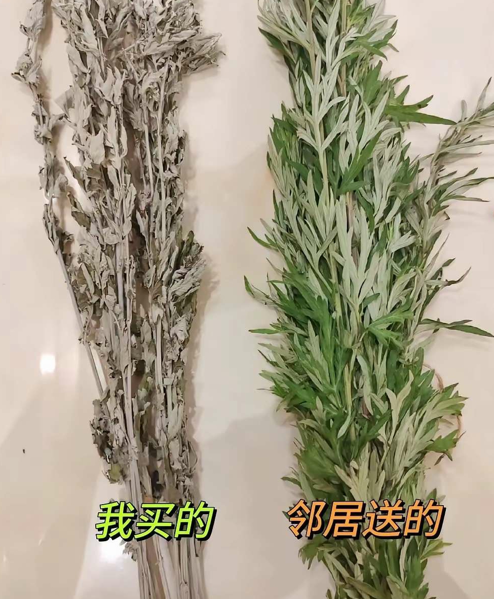 邻居送的艾草❗️是不是买错了