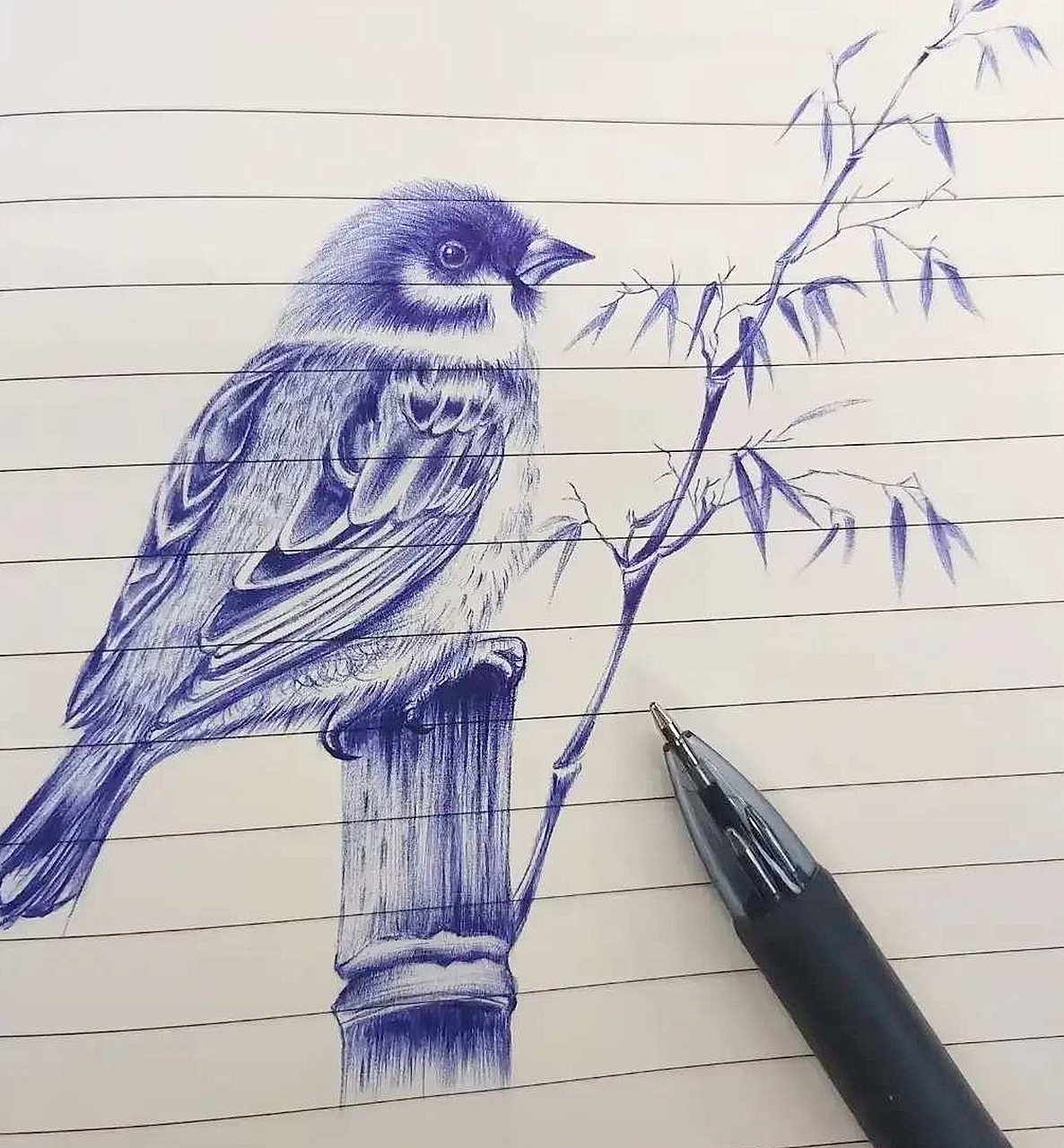 用圆珠笔画的这只麻雀，10分能给几分？[泪奔][泪奔]