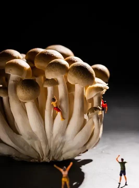 在单位，为什么领导喜欢重用小人:
1，能充当领导耳目
2，对领导言听计从
3，擅