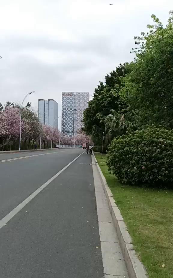 这里游客特多，路上到处都是美景，看着就十分的陶醉。春天总在我们身边，这就是美丽的