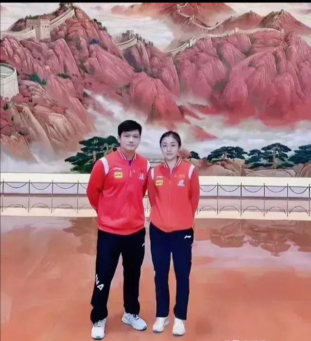 乒坛传奇，敬你们不屈的灵魂和坚强的意志！