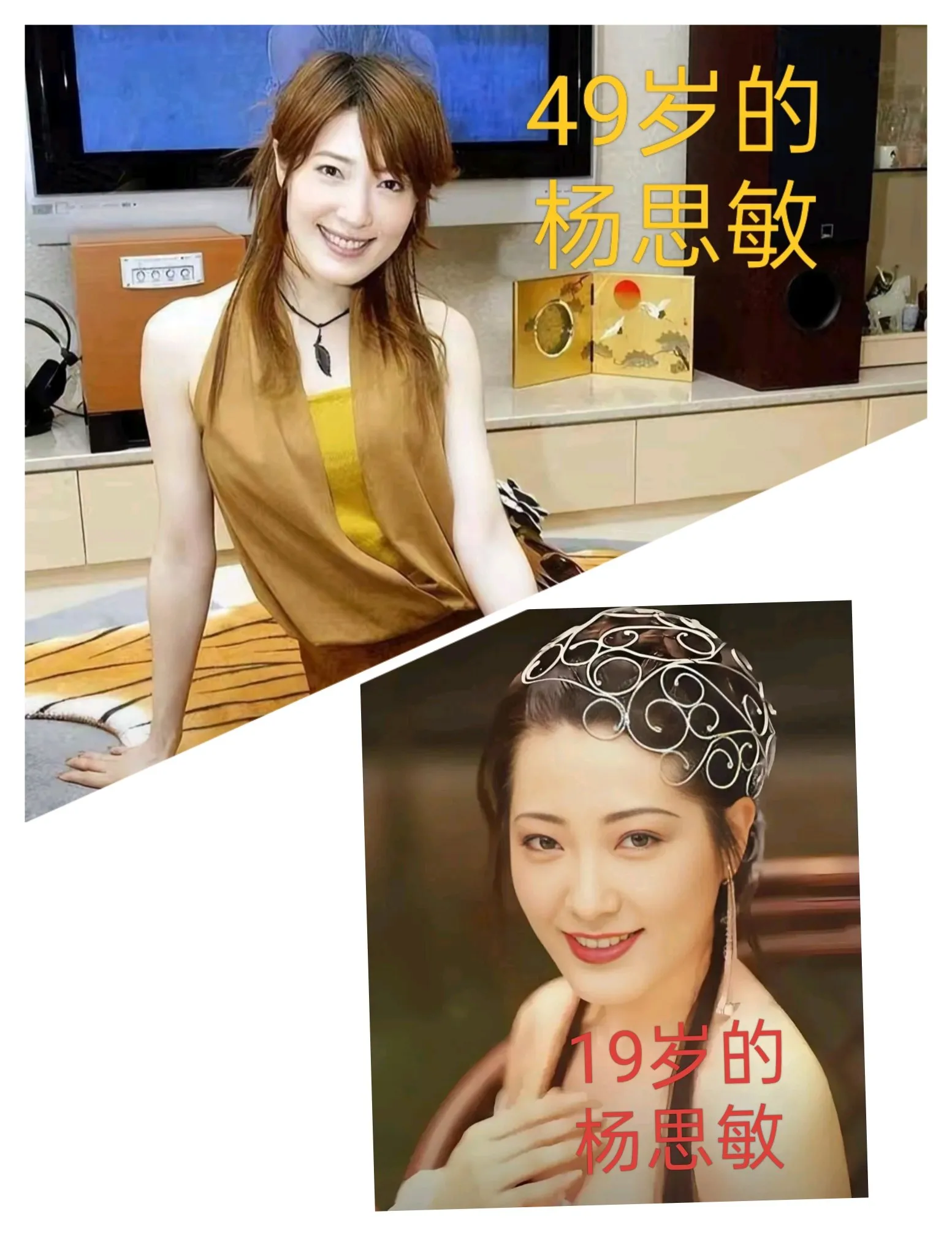19岁下海的杨思敏VS49岁的杨思敏，回不去的曾经