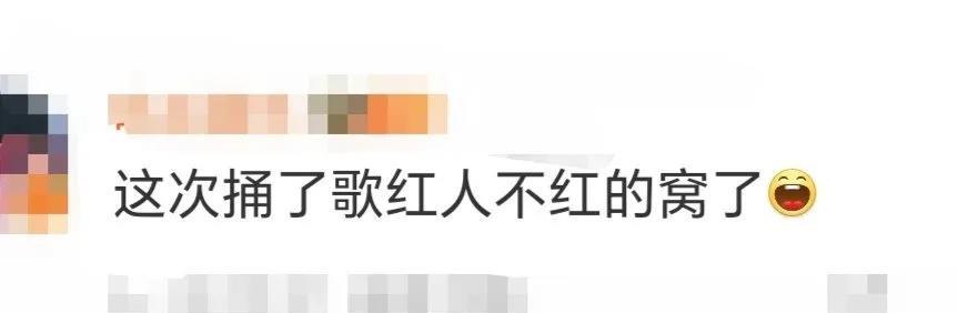 #这次捅了歌红人不红的窝了#
“你可能不认识我，但你一定听过我的歌”   ，天啦