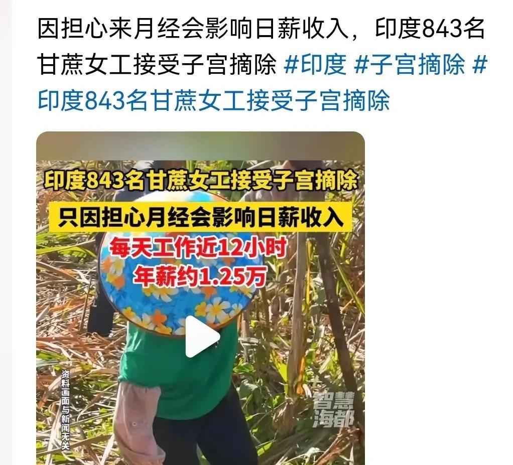 印度：甘蔗女工自愿摘除子宫
何其有幸！小女子能够生在华夏，不会为了一个工作机会，