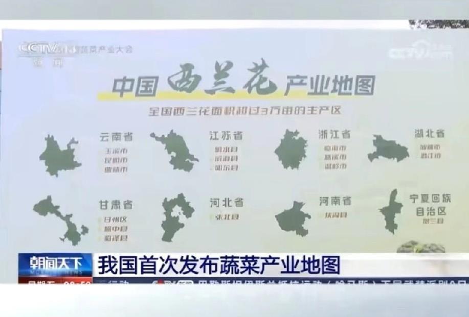 云南，江苏，浙江，湖北，甘肃等8个省区是西兰花主要产区
西兰花这个蔬菜，大家并不
