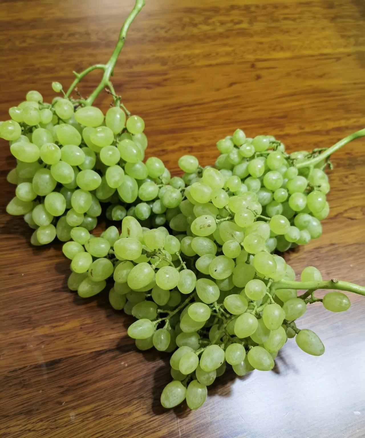孩子志愿填报心得:一是托底学校很重要！这个托底我一开始理解错误，以为往年录取位次