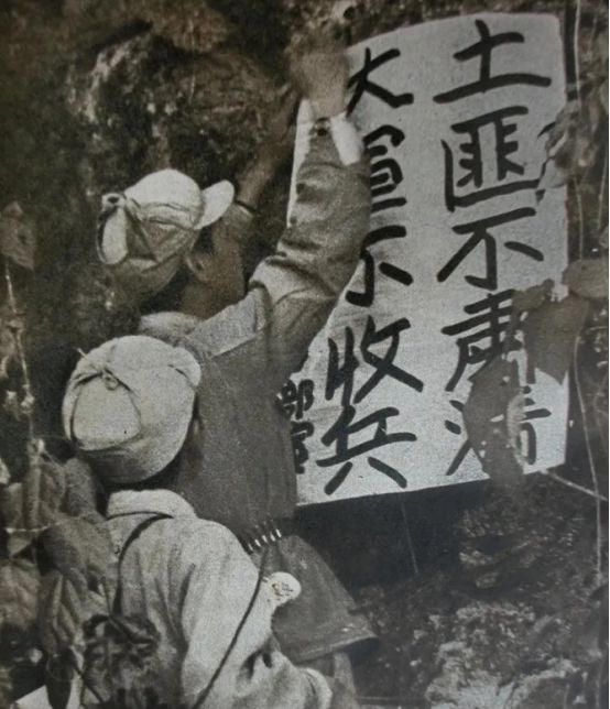 1943年，女土匪吕芪见很多男人垂涎自己的美貌，竟然说：“想和我睡觉不难，不用给