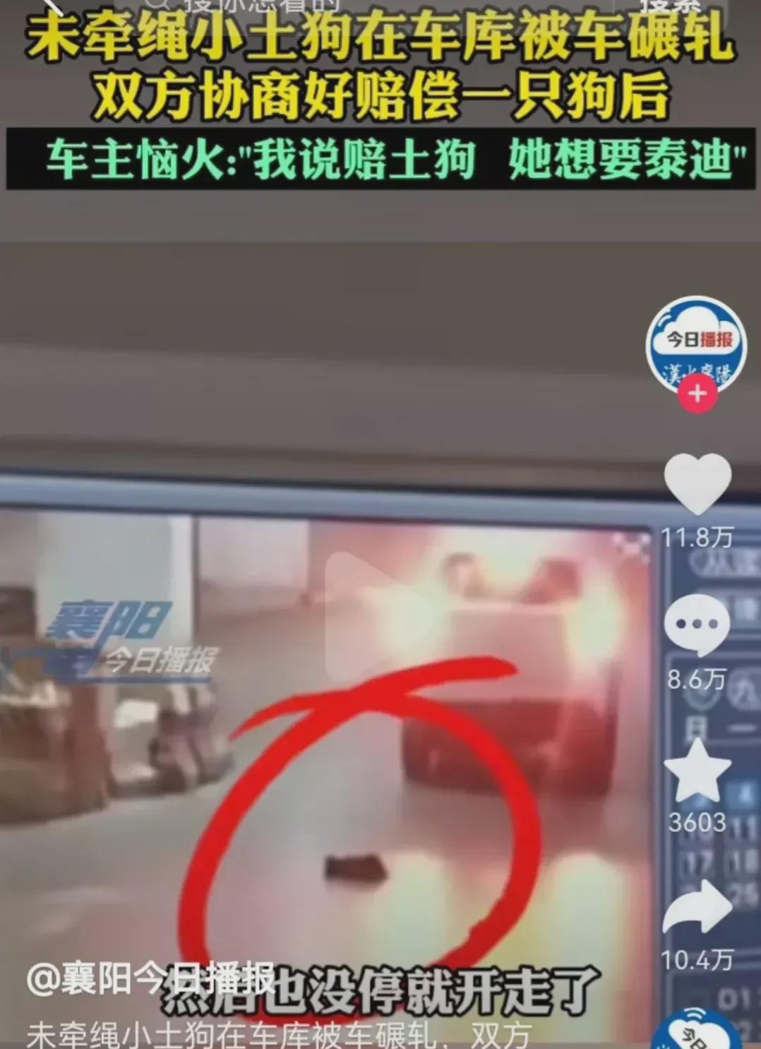 重庆，一女子的狗未牵狗绳，在地下车库被撞死了，事情并不复杂，但是后续发展却让人很