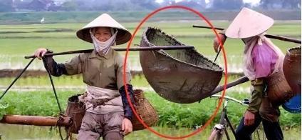 有点离谱！越南的面积只有中国的三十分之一，人口过亿，为啥越南还能出口大米？况且越