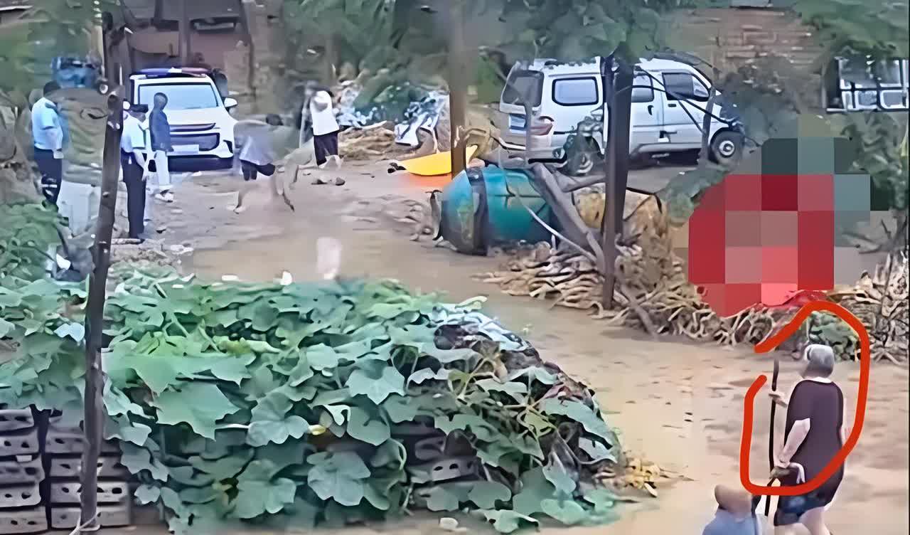83 岁的老爷子在水里摔倒了，旁边站着俩民警却没上前扶一把，结果家属不乐意了，直
