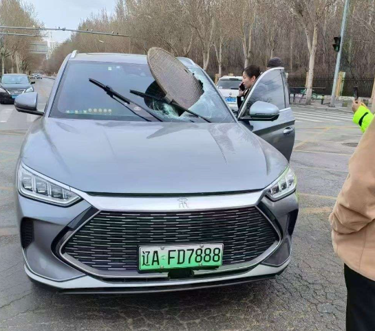 发生这种情况，谁应该赔偿我的损失？