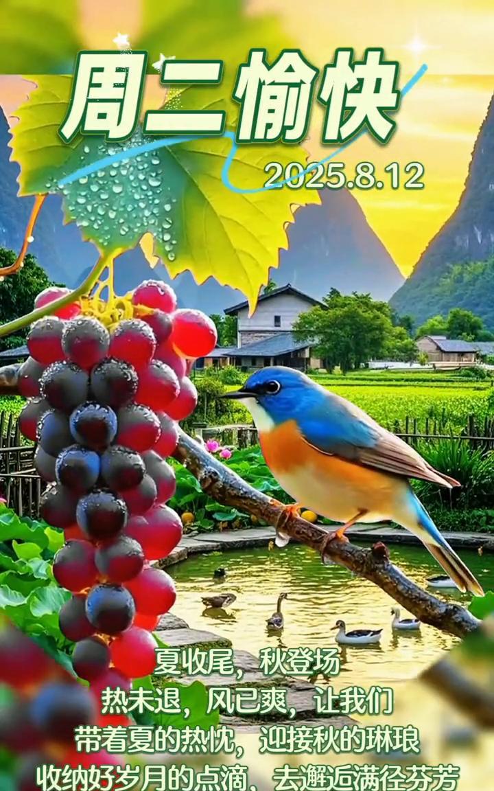 周二愉快。
2025.8.12，夏收尾，秋登场。热未退，风已爽，让我们带着夏的热