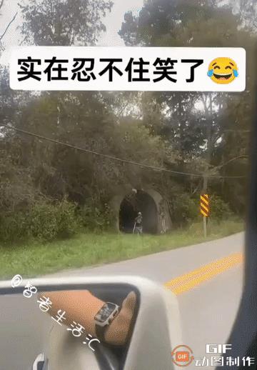 哈哈哈哈，实在是憋不住了，虽然有点不厚道……
这就是典型的顶“蜂”作案，真乃身残