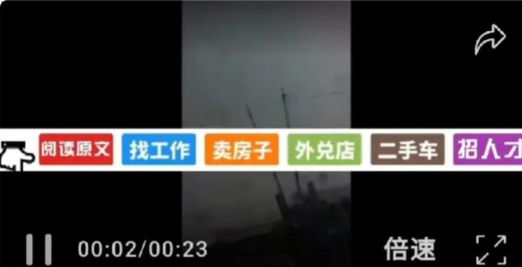 来源：双城吃喝玩乐