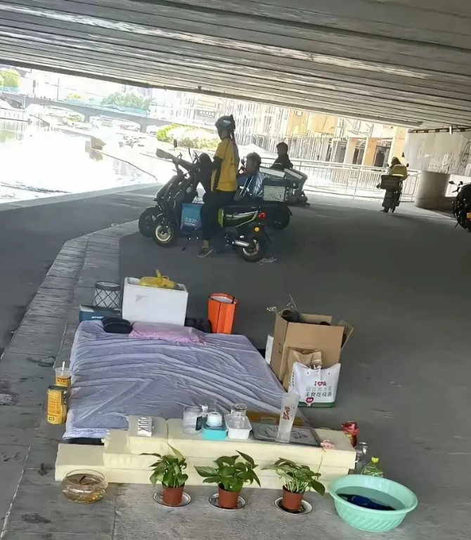 桥底下的一幕，不得不说，惊呆了啊。