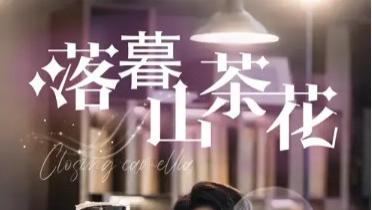 热门短剧《落幕山茶花》完整版免费在线观看未删减版《落幕山茶花》百度网盘夸克网盘免费资源分享下载