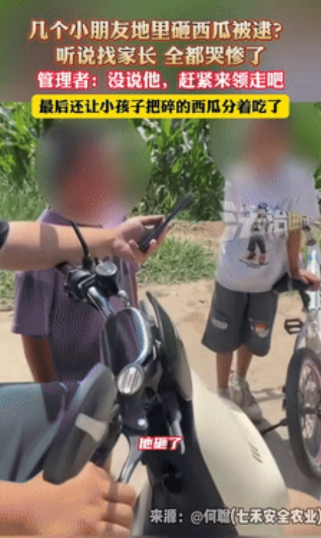 “笑麻了！”浙江，几个小孩哥瓜田砸西瓜被逮到，一听瓜主要叫家长吓得嗷嗷哭！不料，