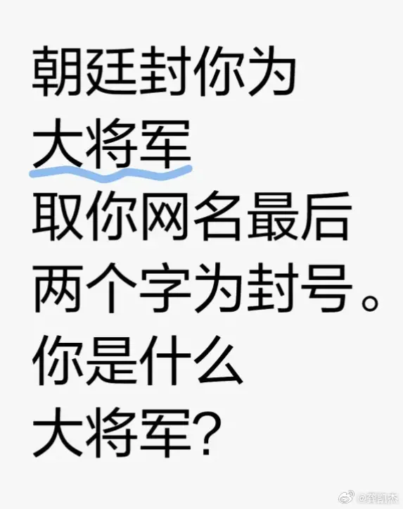 假如朝廷封你为大将军，取你网名最后两个字为封号。你是什么大将军？
