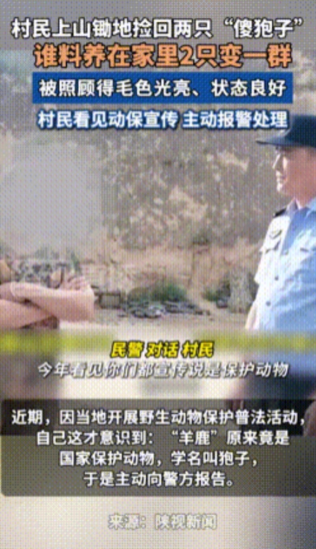 “必须严惩！”四川眉山，近日网传一男子带12岁女孩去酒店，被家长当场逮住痛殴。视
