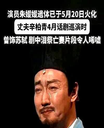 我有种预感

从朱媛媛走了以后

辛柏青估计再也不会去

演戏了
