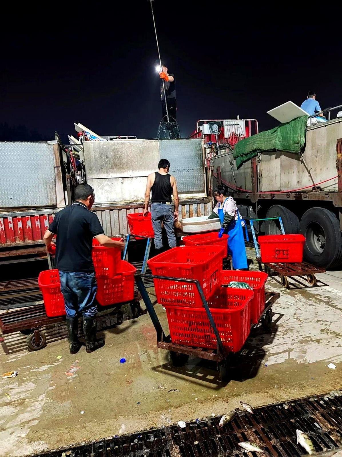 河虾跳水啦！
在安徽芜湖水产批发市场昨天的夜市上，河虾价格出现下跌，每斤分别下跌