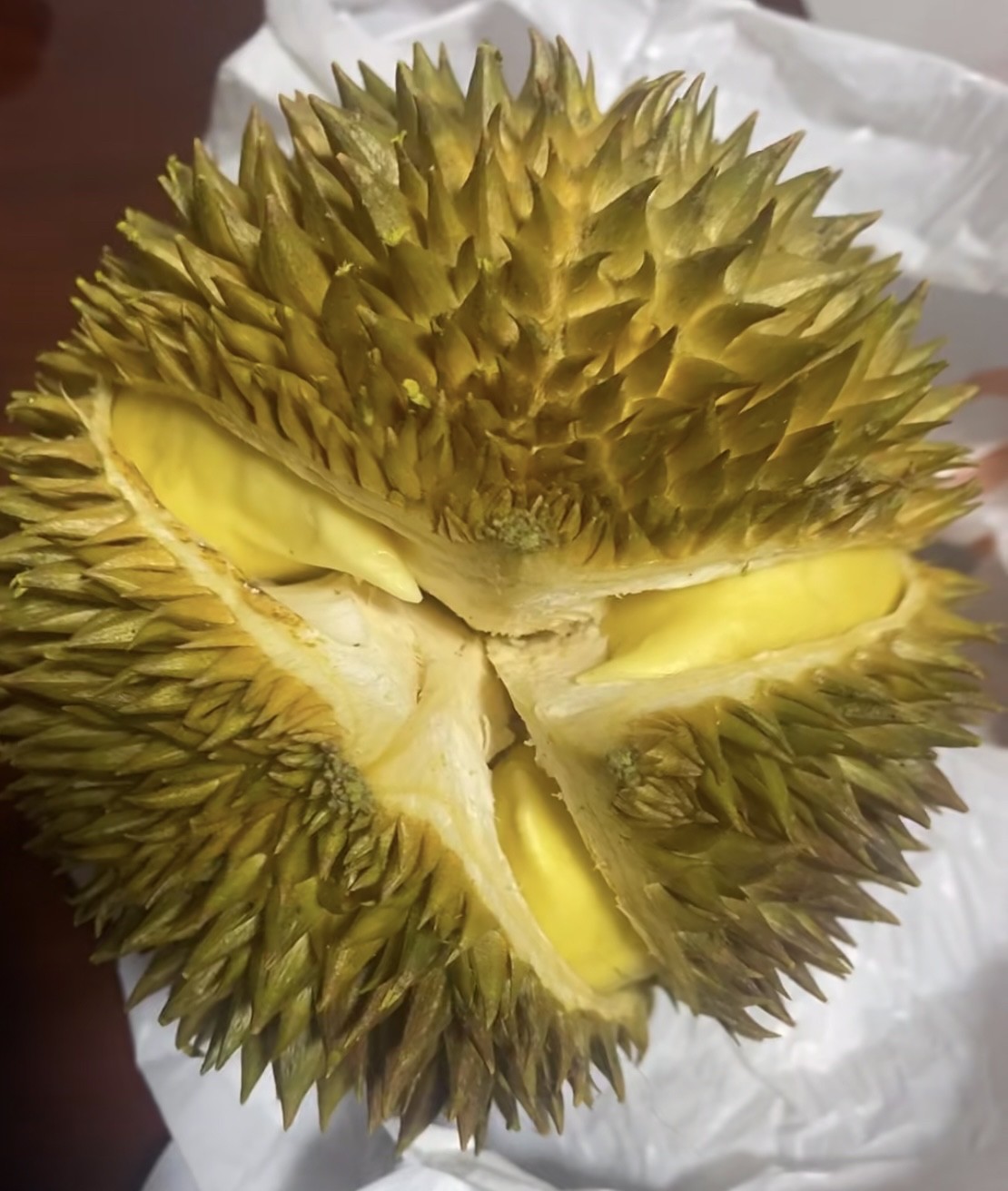 我儿媳妇工资比我儿子高两三千，一个月能挣一万来块钱。今天下班她又抱回来一个大榴莲