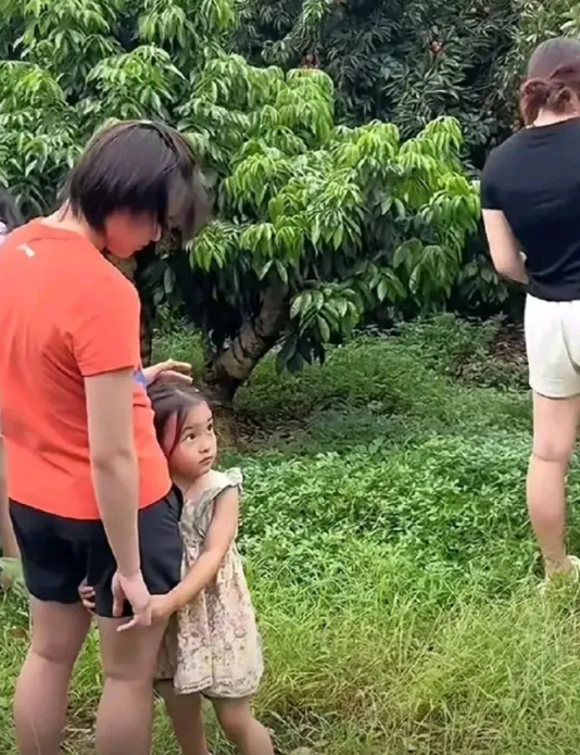全红婵真的回不到巅峰了吗？

这几天在全红婵哥哥最新拍摄的视频里，全红婵现回到了