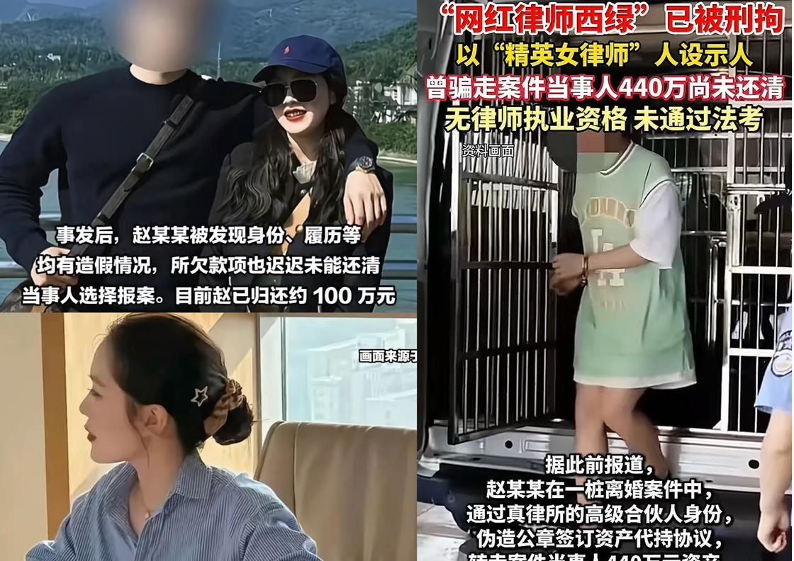 “网红律师西绿”虽然说是“冒牌律师”，但干的也是涉及律师业务的，知法犯法骗走案件