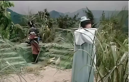 当年观众的宽容度属实是高，当看完这后面的山真的令人惊叹不已！ 