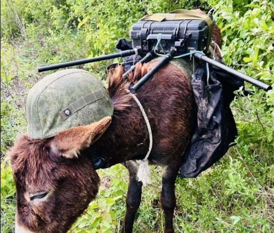 【乌军开始网罗先进的军事资源】
    乌克兰人别出心裁，启动了一项新武器实战测