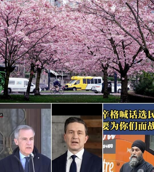 加拿大总理大选将至











温哥华还在下雨，加拿大政坛却要变天了！