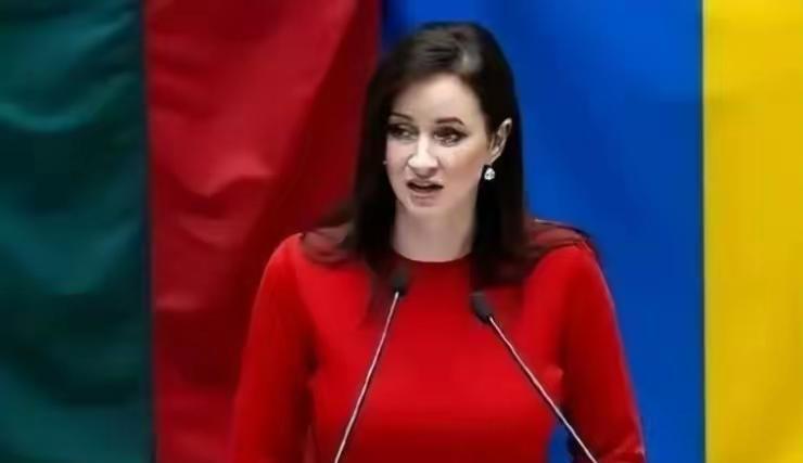 自取灭亡的立陶宛总统瑙塞达和鲁吉涅内，这次中国没有惯着她。立陶宛总理就任后，鲁吉