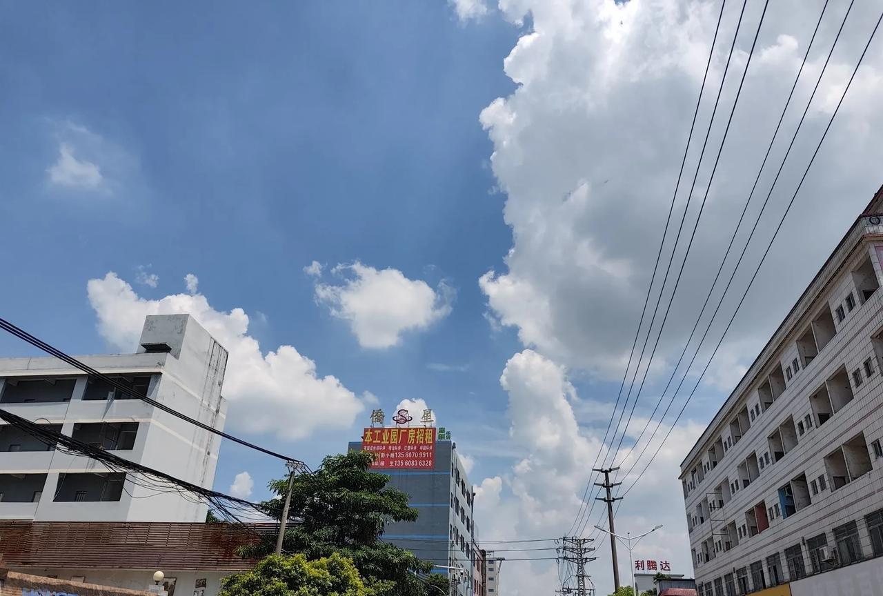 #秋日生活打卡季#8月27曰，东莞寮步，晴。蓝天白云天高地阔，微风习习人身爽，酷
