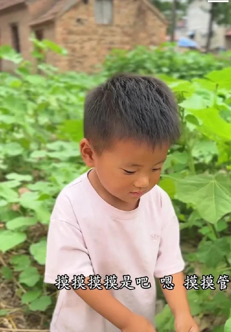 现在没有人再怀疑三行的智商了吧？
三行快三岁了吧？和同龄孩子比，这个孩子无论在语