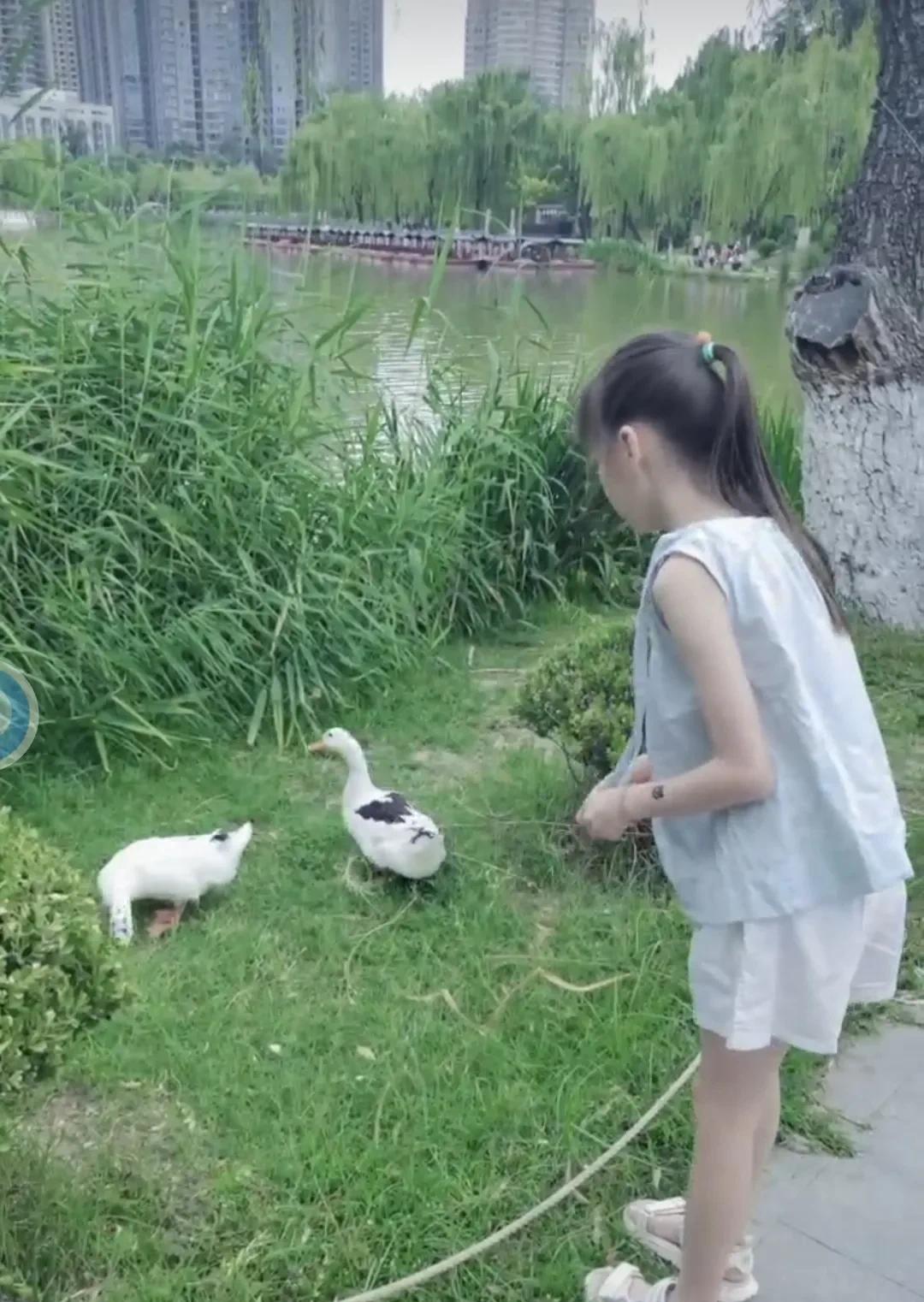小朋友去兴庆公园喂鸭子，特意让妈妈烙了金黄金黄的芝麻饼。
在一馍夹万物的西安，饼