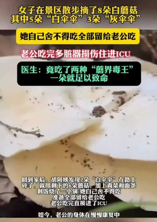 老公快吃吧我舍不得🥰🥰🥰✨✨✨ ​​​
