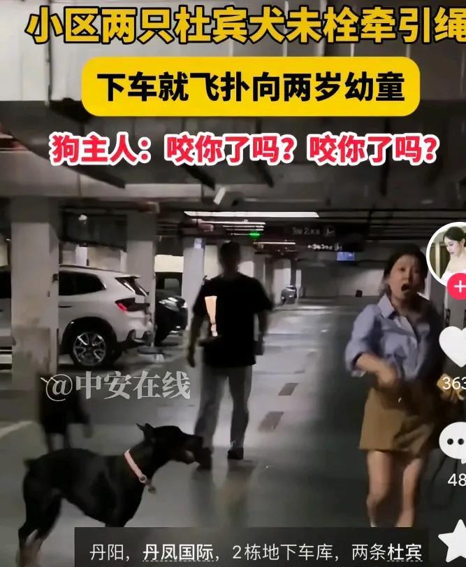 全国民众都在关注丹阳警方。
那狗主人可真够嚣张的。
警方着实太辛苦了！如此清晰的