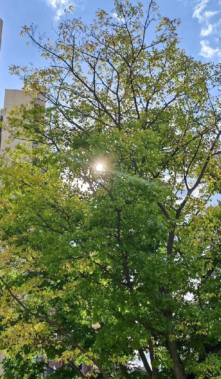 上次评论区的许多友友给的建议，我思考了一下，觉得很对。
任何感情都需要双向奔赴，