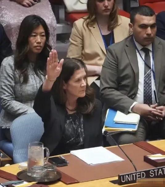 美国作妖又在滥用否决权，公理何在？刚刚，联合国安理会针对加沙地带问题的决议草案进