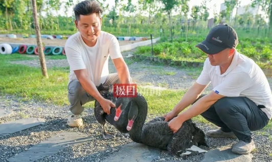 咱管的是不是有点宽了……人家都“离婚”了，就别逼人家“复合”了！