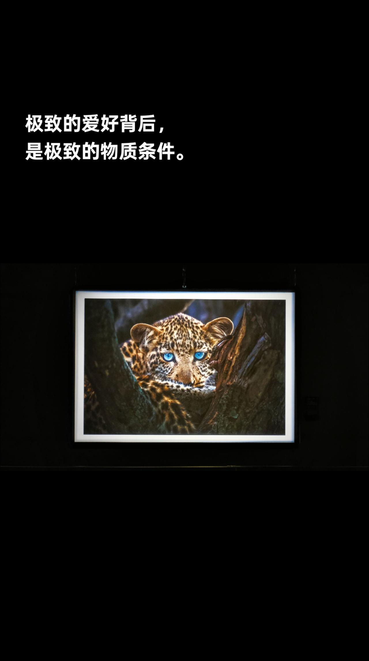 周末，来罗红摄影馆看展。感慨极致的爱好背后，是极致的物质条件。#摄影 #罗红摄影