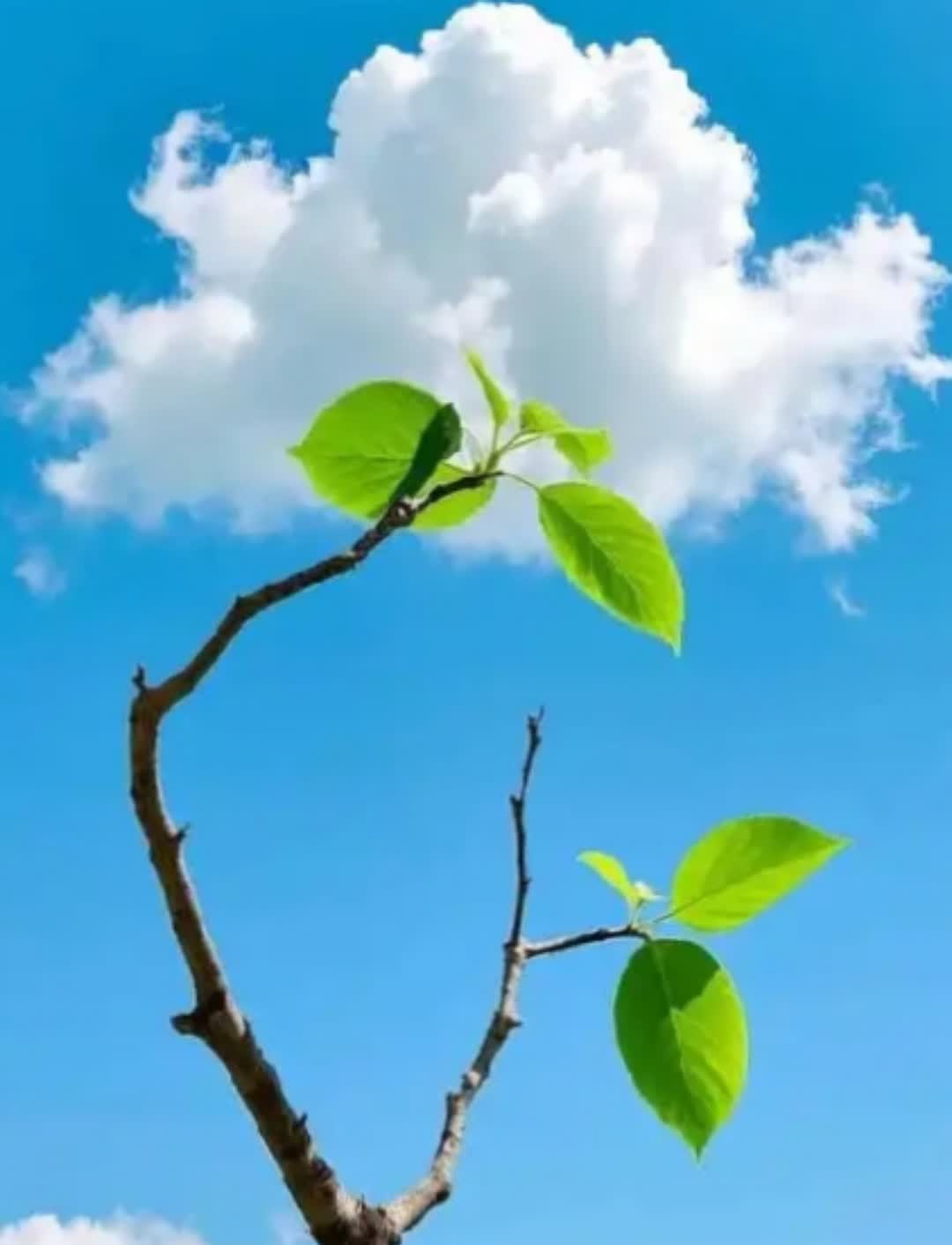 太让人痛心了！2025年5月19日下午3点51分，重庆对外经贸学院发生了一件令人
