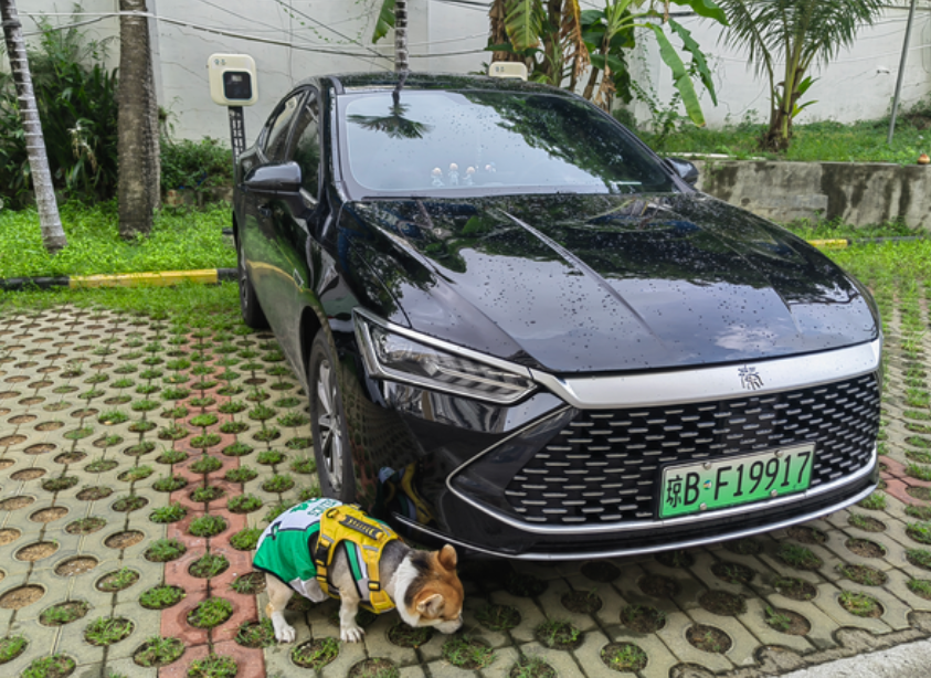 车买了，也就那样...

负债累累后缓过来的第一个决定就是买辆车。人生第一辆.9