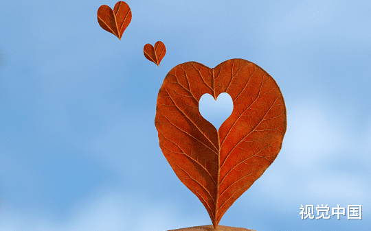 论文答辩时有人诬陷我抄袭，我决定撤资后，校长慌了